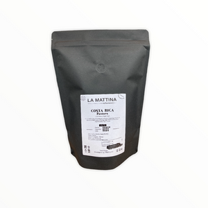Costa Rica Pastora